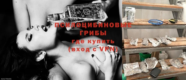 МДПВ Алексин